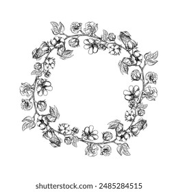 The cotton is organic. The frame is round, with cotton twigs. Black and white, detailed, graphic, vector illustration, hand-drawn, on a white background. For labels, packaging, postcards and posters.