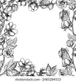 The cotton is organic. A frame with cotton twigs. Black and white, detailed, graphic, vector illustration, hand-drawn, on a white background. For labels, packaging, postcards and posters.