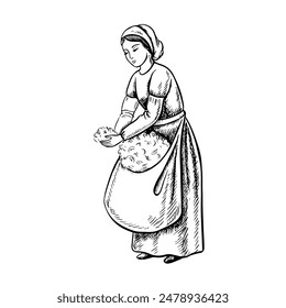 Ein Baumwollpflücker von Hand. Schwarz-Weiß, detailliert, Grafik, Vektorillustration. Eine schöne Frau, die Baumwolle mit ihren eigenen Händen pflückt. Isolieren, handgezeichnet auf weißem Hintergrund.