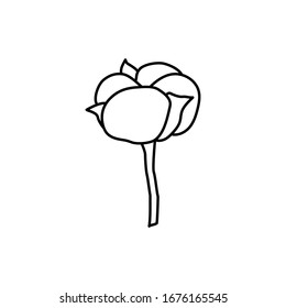 Rama de plantas de algodón en un estilo minimalista moderno. Contorno de flor de algodón orgánico para el logotipo , invitación, etiquetas, impresión para textiles, carteles y tarjetas . Ilustración vectorial de la vegetación botánica