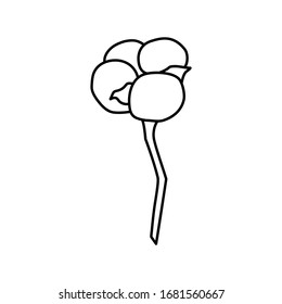 Cotton plant branch in trendy minimal style. Outline organic cotton flower for logo , invitation, tags, print for textile, posters and cards . Botanical greenery vector illustration