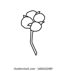 Cotton plant branch in trendy minimal style. Outline organic cotton flower for logo , invitation, tags, print for textile, posters and cards . Botanical greenery vector illustration
