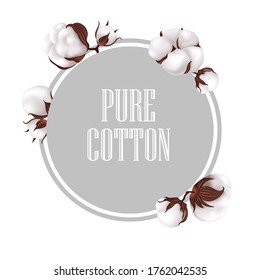 Cotton plant branch. Vector illustrtion.