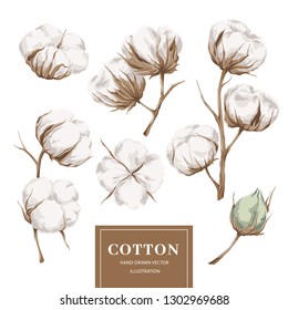 Cotton plant collection