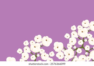 Cotton plant displaying fluffy white flowers against a vibrant green backdrop