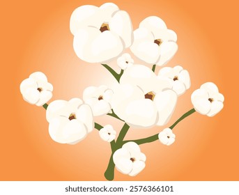 Cotton plant displaying fluffy white flowers against a vibrant green backdrop