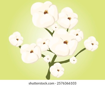 Cotton plant displaying fluffy white flowers against a vibrant green backdrop