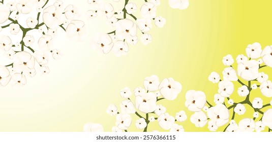 Cotton plant displaying fluffy white flowers against a vibrant green backdrop