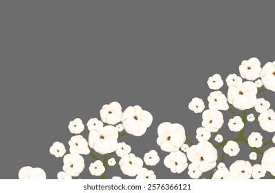 Cotton plant displaying fluffy white flowers against a vibrant green backdrop