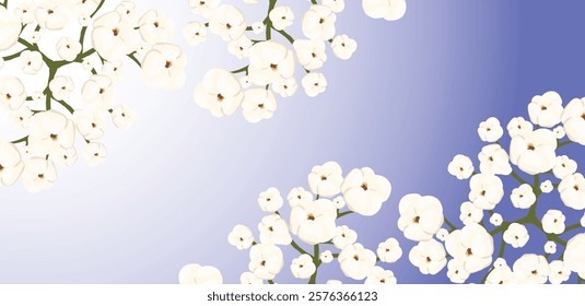 Cotton plant displaying fluffy white flowers against a vibrant green backdrop