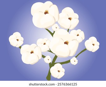 Cotton plant displaying fluffy white flowers against a vibrant green backdrop