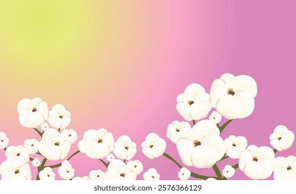 Cotton plant displaying fluffy white flowers against a vibrant green backdrop