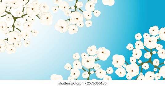 Cotton plant displaying fluffy white flowers against a vibrant green backdrop