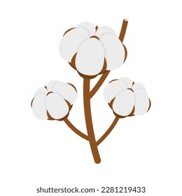 Cotton plant flower on white background isometric vector illustration