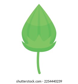 Cotton plant icon isometric vector. Soft fabric. Natural material