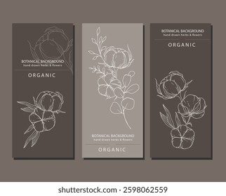 Cotton Plant Illustration. Cotton Branch Label Design. 100% Cotton, Pure Cotton Graphics. Hand Drawn Flowers  Line Art Illustration. Outline Trendy Minimalist Design