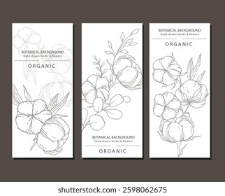 Cotton Plant Illustration. Cotton Branch Label Design. 100% Cotton, Pure Cotton Graphics. Hand Drawn Flowers  Line Art Illustration. Outline Trendy Minimalist Design