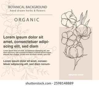 Cotton Plant Illustration. Cotton Branch Label Design. 100% Cotton, Pure Cotton Graphics. Hand Drawn Flowers  Line Art Illustration. Outline Trendy Minimalist Design