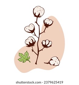 Cotton plant isolated vector illustration. Concept dried herbs. Stem, fluffy balls, leaf. Herbal theme. Hand drawn branches, beige abstract spot. Design element for natural and organic designs.