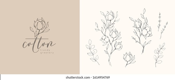 Cotton plant logo and branch. Hand drawn wedding herb, plant and monogram with elegant leaves for invitation save the date card design. Botanical rustic trendy greenery vector illustration