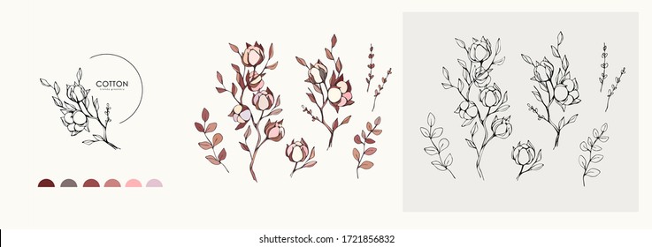 Cotton plant logo and branch. Hand drawn wedding herb, plant and monogram with elegant leaves for invitation save the date card design. Botanical rustic trendy greenery vector illustration