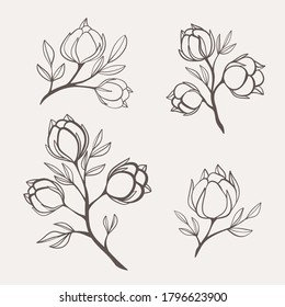 	
Logo et branche de l'usine de coton. Herbe de mariage dessinée à la main, plante et monogramme avec d'élégantes feuilles pour l'invitation à sauvegarder la conception de la carte de date. Illustration vectorielle botanique rustique et tendance