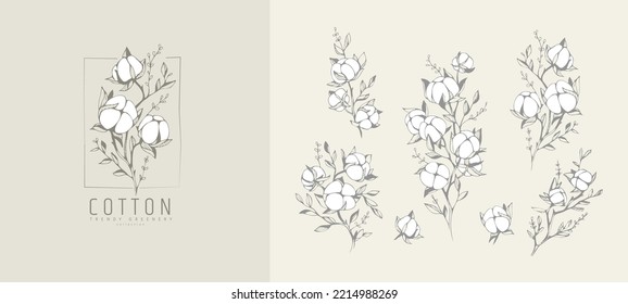 Cotton plant logo and branch. Hand drawn line wedding herb, elegant leaves for invitation save the date card. Botanical rustic trendy greenery