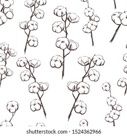 Cotton Plant seamless pattern. Sprigs of cotton vector illustration.