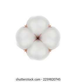 Cotton realistic composition with isolated view of flower bud on blank background vector illustration
