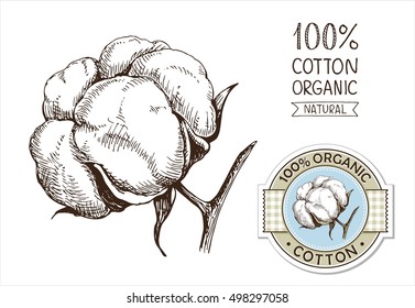 Cotton set with sticker in vector