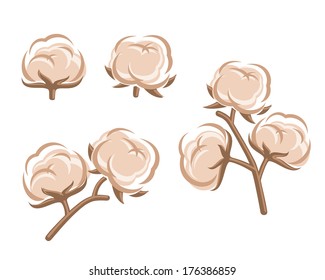 Cotton set. Vector 