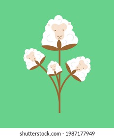 Cotton Sheep isolated. Cotton flower in form of ewe. vector illustration
 