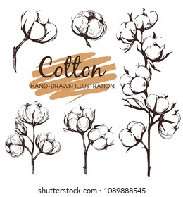 66,906 Cotton Sketch Images, Stock Photos & Vectors | Shutterstock