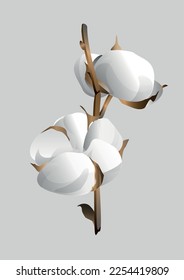 Cotton small branch design. Design element for wallpapers, backgrounds, textile, postcards. Vector illustration.