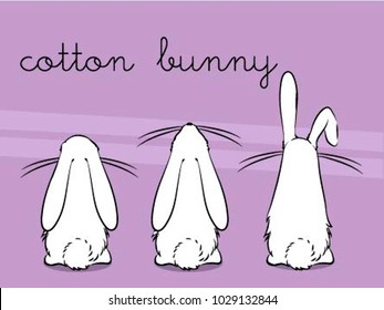 Cotton Tail Bunny