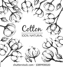 Cotton - vector frame with hand drawn elements