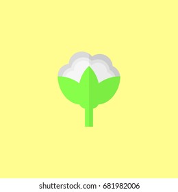 cotton vector icon