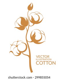 Cotton. Vector illustration EPS10. Dried cotton on white background  