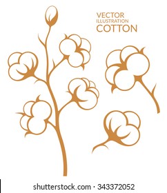 Cotton. Vector illustration. Isolated cotton on white background