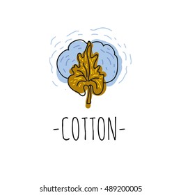 Cotton. Vector sketch of a flower bolls of cotton. Logo for the textile material, of identity creation.