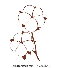 Cotton vector stock illustration. Pure and natural. Logo template flower Organic cotton. Isolated on a white background. A branch blossom on the invitation.