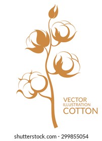 Cotton vintage style. Vector illustration EPS10. Dried cotton on white background. Abstract plant with flowers  