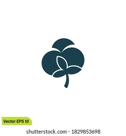 cotton - web black icon design. Natural fiber sign. Vector illustration.