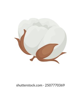 Cotton. A white cotton box. Cotton wool. The ripe fruit of a cotton plant. Vector illustration isolated on a white background.