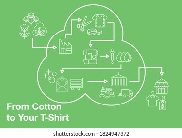 De algodón a tu camiseta - Estilo Lineal Infográfico