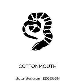 cottonmouth icon. cottonmouth symbol design from Animals collection. Simple element vector illustration on white background.