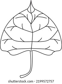 Cottonwood leaf vector icon black and white