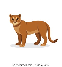 
Cougar animal isolated flat vector illustration on white background