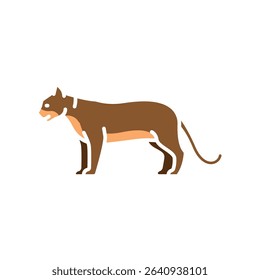 cougar color flat icon for digital and print projects. North american animals. Minimal clean icons for apps and websites. Modern simple icons for UI UX and branding
