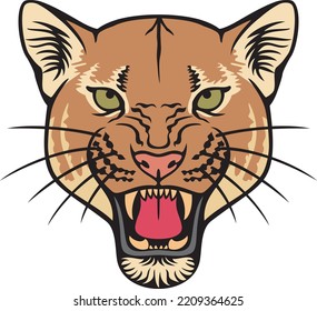 Cougar Face Color Vector Illustration